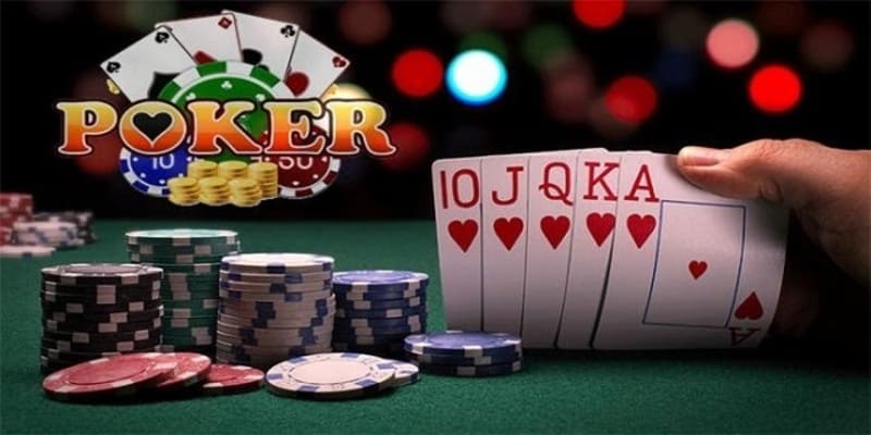 Thông tin về nét chung về poker online bk8